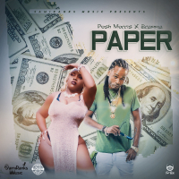 Paper (Single)