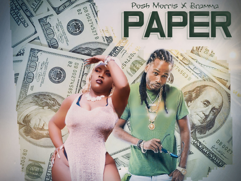 Paper (Single)