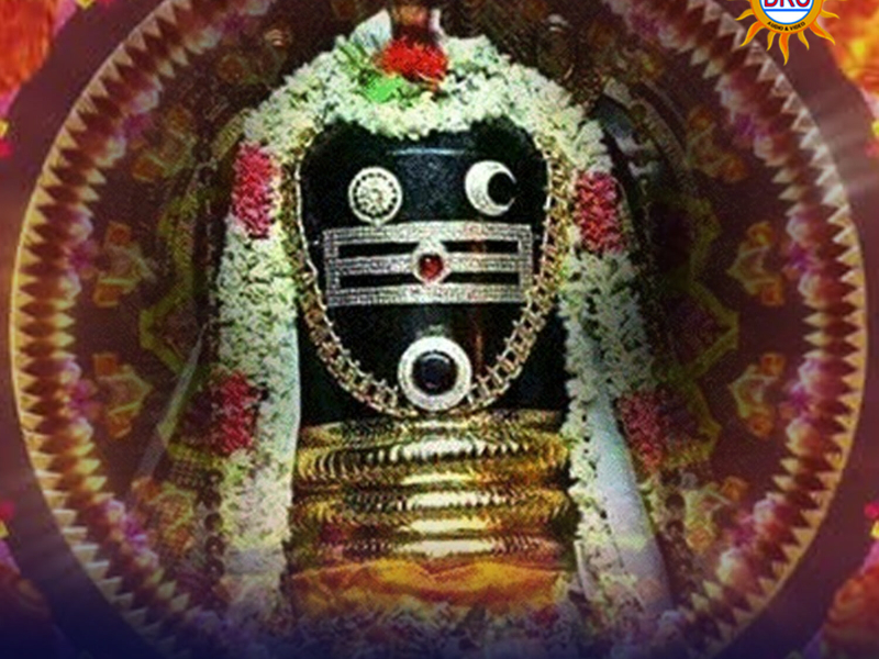 Vandanalu Vandanalu (Single)