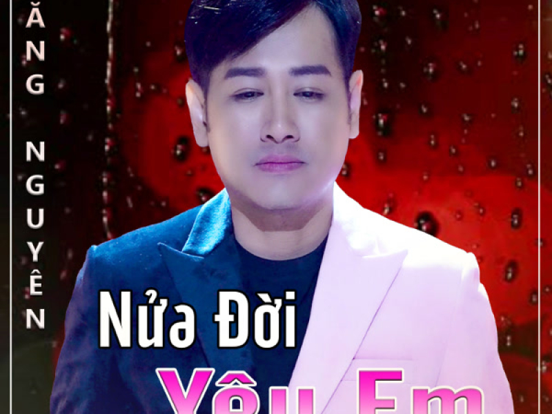 Nửa Đời Yêu Em