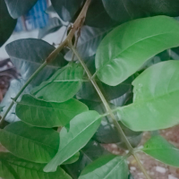 Reality check (Remastered 2024) (Single)