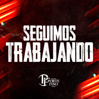 Seguimos Trabajando (Single)