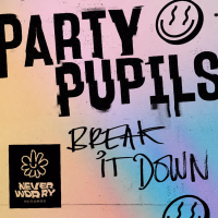 Break It Down (Single)