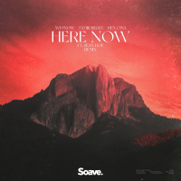 Here Now (ft. Sean Doe) - Remix (Single)