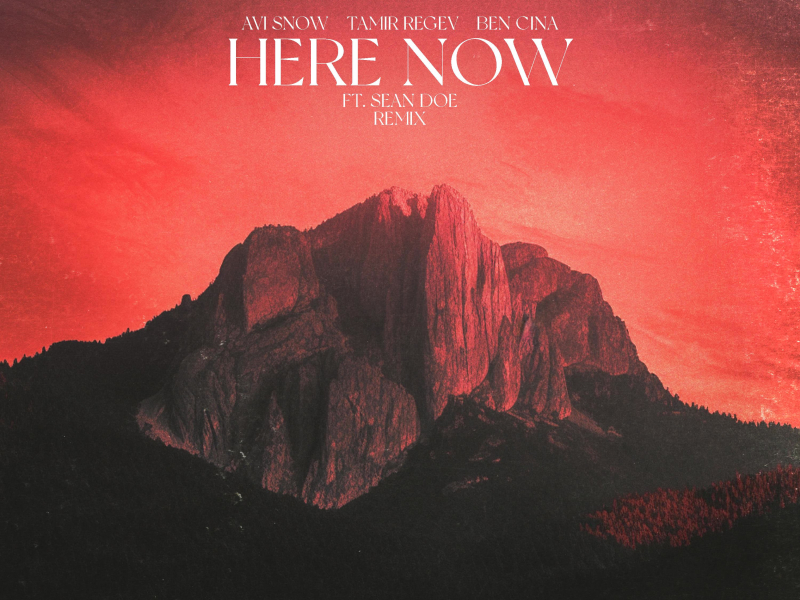 Here Now (ft. Sean Doe) - Remix (Single)