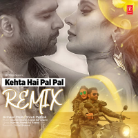 Kehta Hai Pal Pal - Remix (Single)