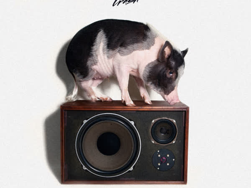 Truffle Pig (Single)