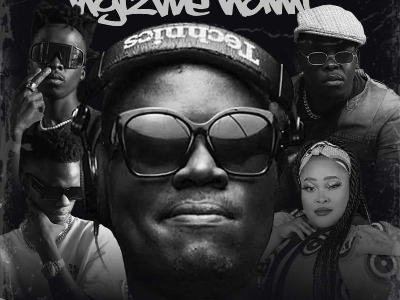 Ngizwe Nami (Single)