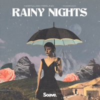Rainy Nights (Single)