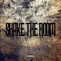 Shake The Room (Single)