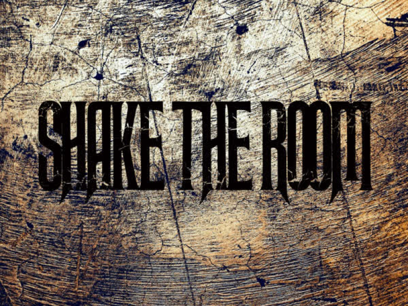 Shake The Room (Single)