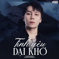 Tình Yêu Dại Khờ (Remix) (Single)