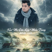 Xin Mẹ Cứu Lấy Miền Trung (Single)