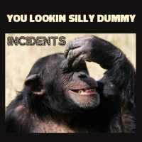 You Lookin Silly Dummy (EP)