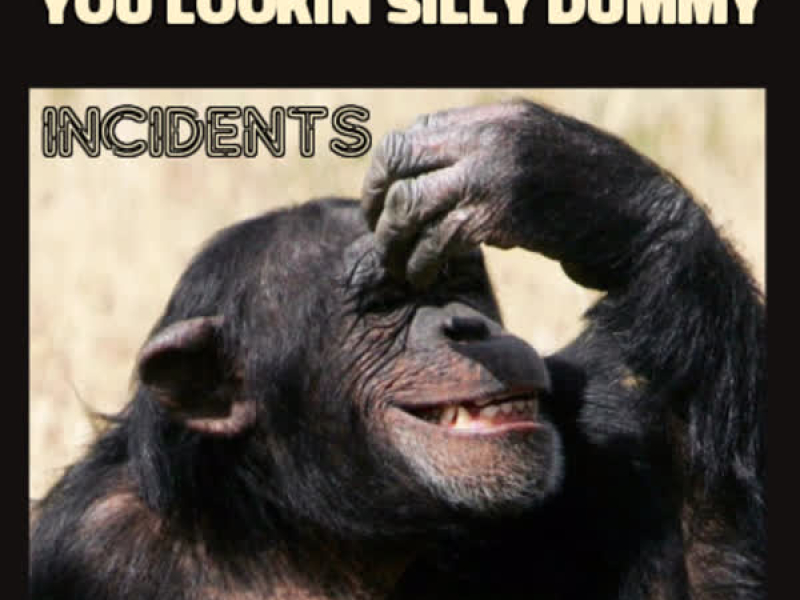 You Lookin Silly Dummy (EP)