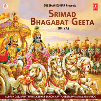 Shrimad Bhagwad Geeta Vol-2 (Single)