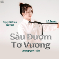 Sầu Đượm Tơ Vương (LD Remix Cover) (Single)