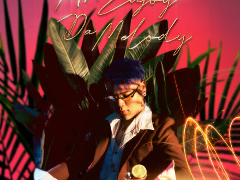 Mr. Enjoy Da Melody (EP)