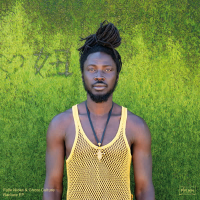 Leywole (Squid's Let's Get Trancey Remix) (Single)