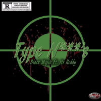 Type Nigga's (Single)