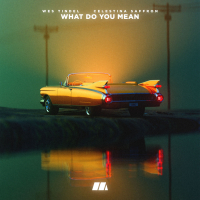 What Do You Mean (Single)