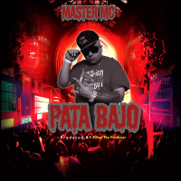 Pata Bajo (Single)