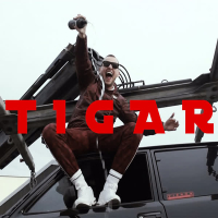 Tigar (Single)