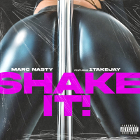 Shake It (Single)