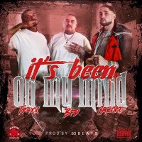 Its Been On My Mind (feat. Tr4xx & Sm20ke) (Single)