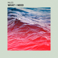 What I Need (Single)