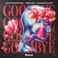 Goodbye (Single)