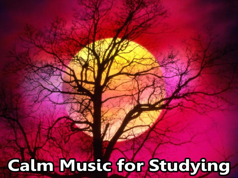 Calm Music for Studying, Concentration and Focus (Single)