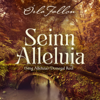 Seinn Alleluia/Donegal Reel   (Single)