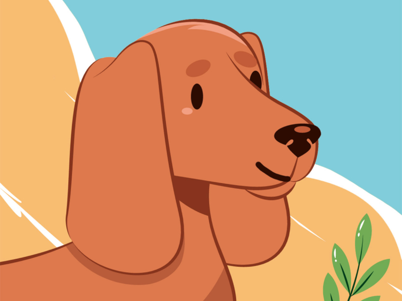 강아지의 여름 방학