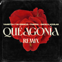 Qué Agonía (Remix) (Single)
