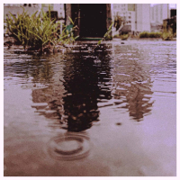 Your Shadow (Single)