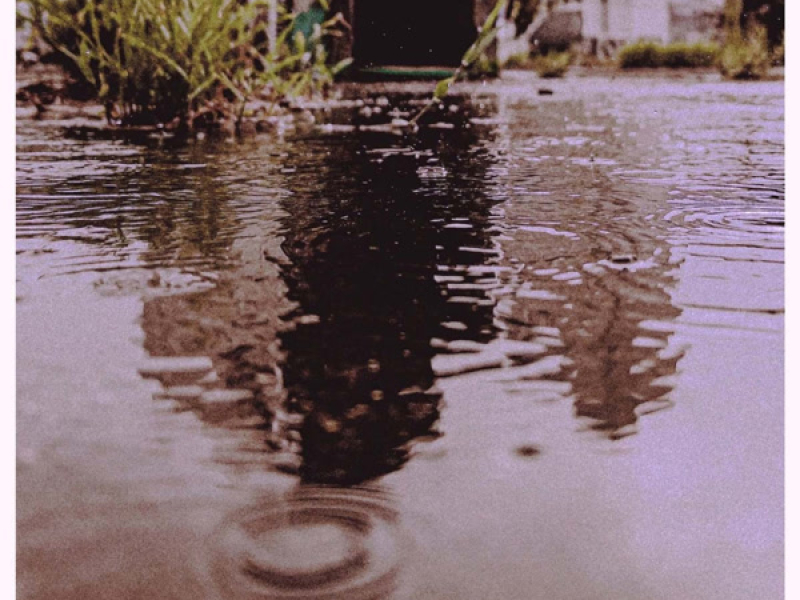 Your Shadow (Single)