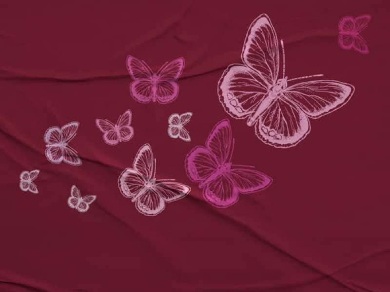 Метелики (Single)