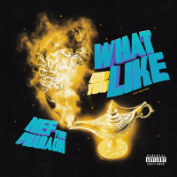 What Do You Like (Single)