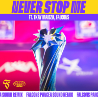 Never Stop Me (Falcons Pangea Sound Remix) (Single)