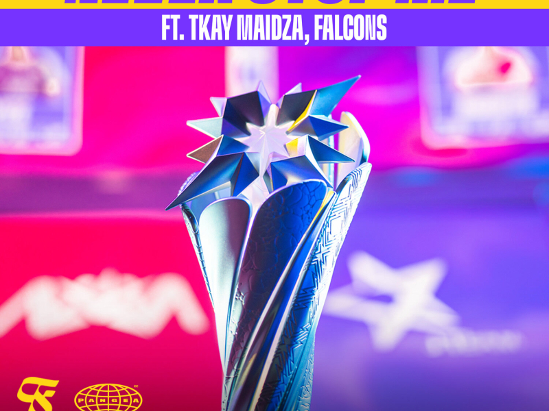 Never Stop Me (Falcons Pangea Sound Remix) (Single)