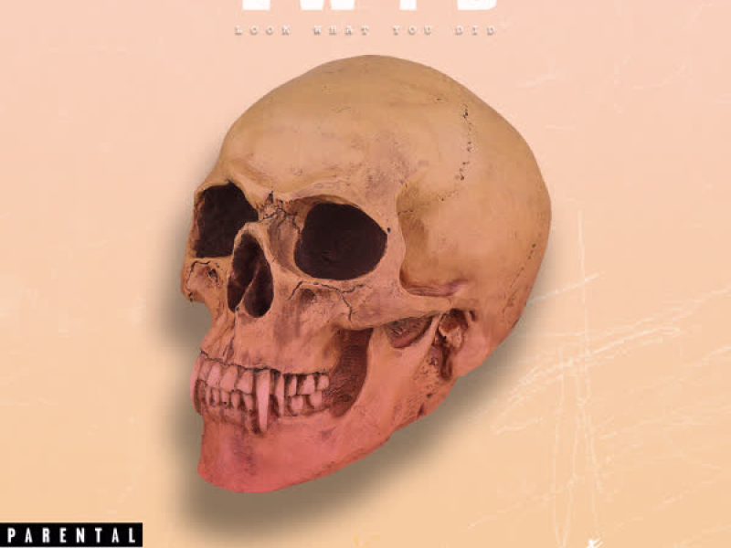 Look What You Did (Single)