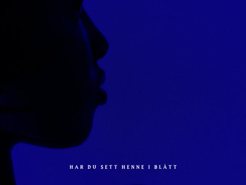 Har du sett henne i blått (Single)