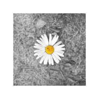 Rise and Shine (Single)