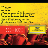 The Yellow Guide To Opera