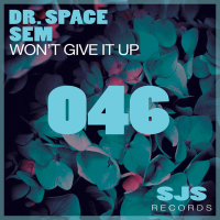 Won't Give It Up (Radio Edit) (Single)