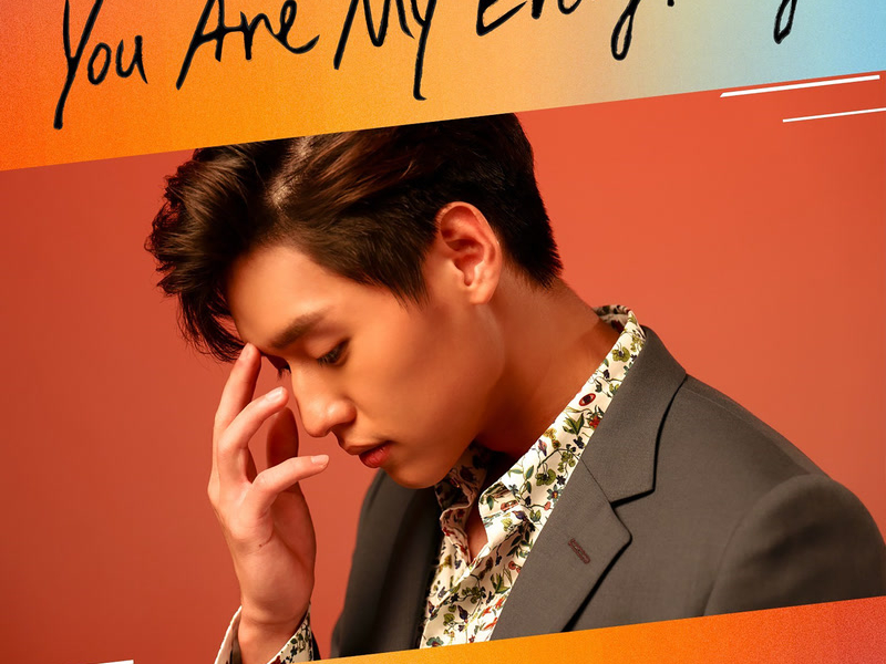 You are my everything (From รักฉุดใจนายฉุกเฉิน) (Single)