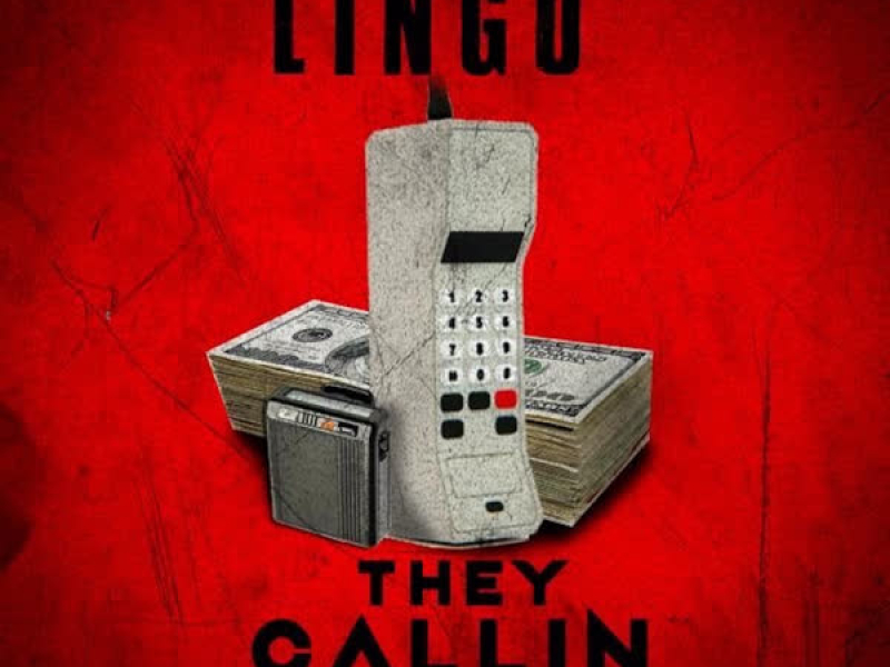 They Callin (Single)