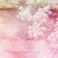 Full of floral fragrance (Single)