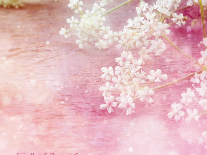 Full of floral fragrance (Single)